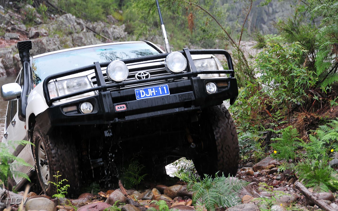 08-Hoppy climbs out of the Avon.jpg